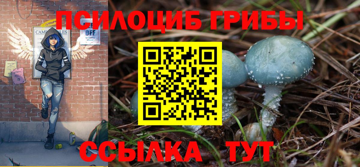 Галлюциногенные грибы прущие грибы  Вход с VPN  Псилоцибиновые грибы мухоморы  Джанкой 