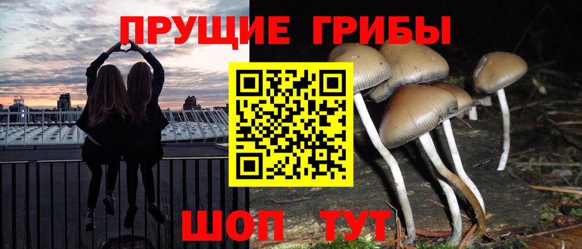 Псилоцибиновые грибы GOLDEN TEACHER Джанкой